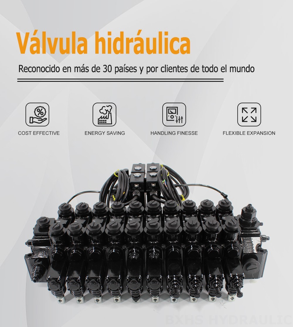DCV150-10-NPT Manual y Electrohidráulico 10 carretes Válvula direccional seccional